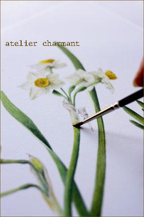 水仙 Atelier Charmant のボタニカル 水彩画ライフ