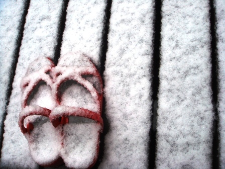 3月の雪_a0163160_1116661.jpg