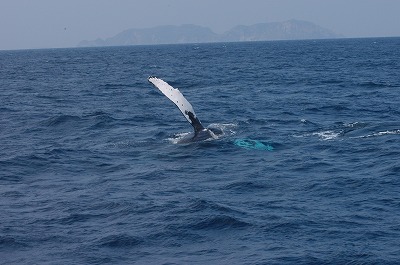 c0180460_16515623.jpg