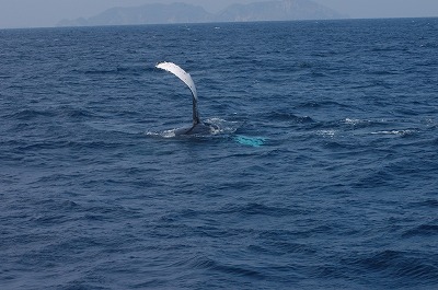 c0180460_16521729.jpg