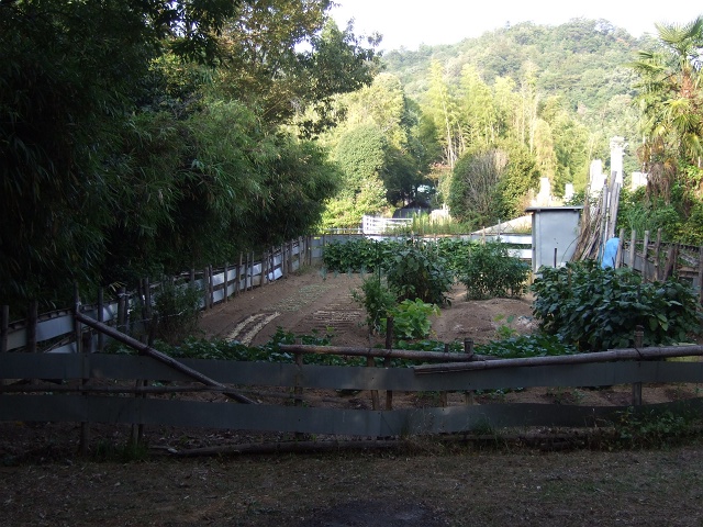 熊野町にある、2つの龍王神社　その3　四貫分城跡と堂風呂神社_b0095061_16225810.jpg