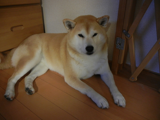 2011年3月7日(月)楽しい水彩画教室!_f0060461_22275741.jpg