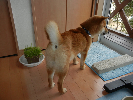 2011年3月7日(月)楽しい水彩画教室!_f0060461_2242136.jpg
