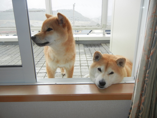 2011年3月7日(月)楽しい水彩画教室!_f0060461_228234.jpg