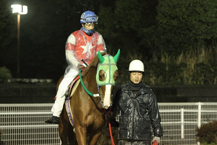 2011年3月6日（日） 高知競馬 10R 高知県山茶花特別 A-1 選抜馬 その1_a0077663_15155653.jpg