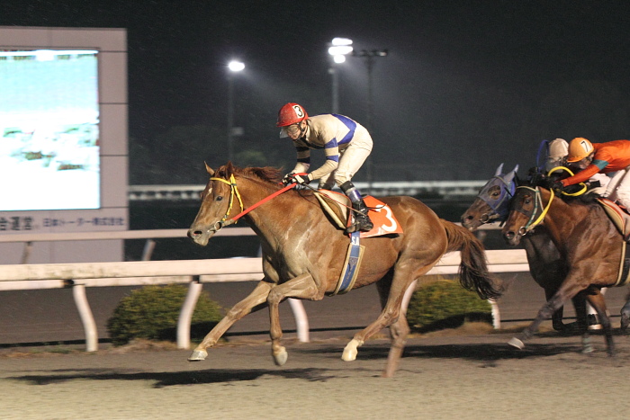 2011年3月6日（日） 高知競馬 10R 高知県山茶花特別 A-1 選抜馬 その2_a0077663_15332231.jpg