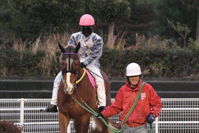 2011年3月6日（日） 高知競馬 5R 3歳-2_a0077663_16225097.jpg