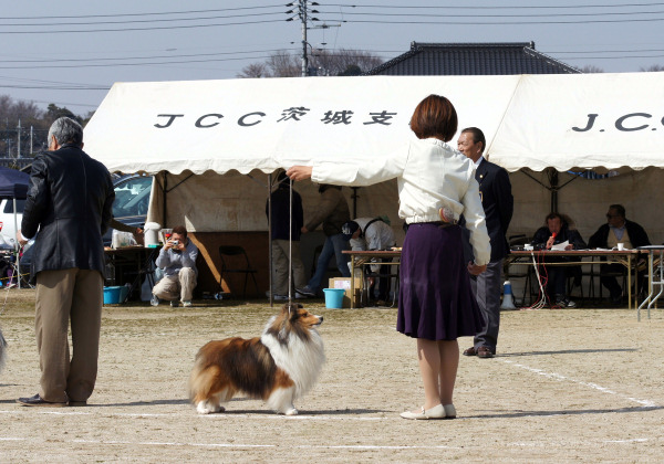 3.6 JCC茨城支部展_a0139367_2149239.jpg