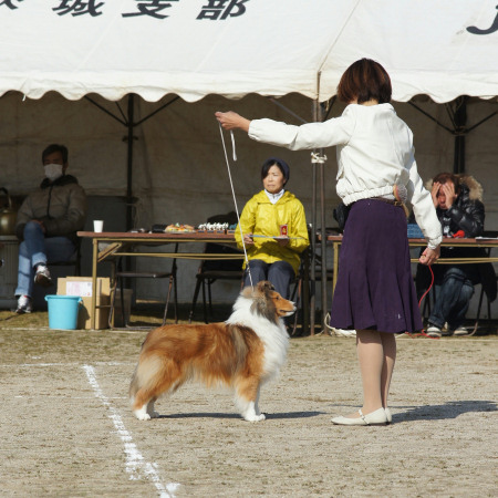 3.6 JCC茨城支部展_a0139367_21493030.jpg