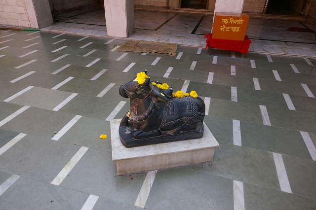 インド滞在記2011 その2: India 2011 Part2_a0186568_1361718.jpg