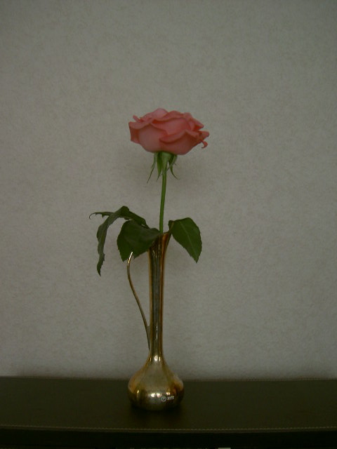 d0171071_9584216.jpg