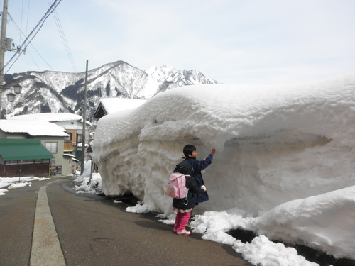 湯沢の雪景色。_e0234572_10115063.jpg