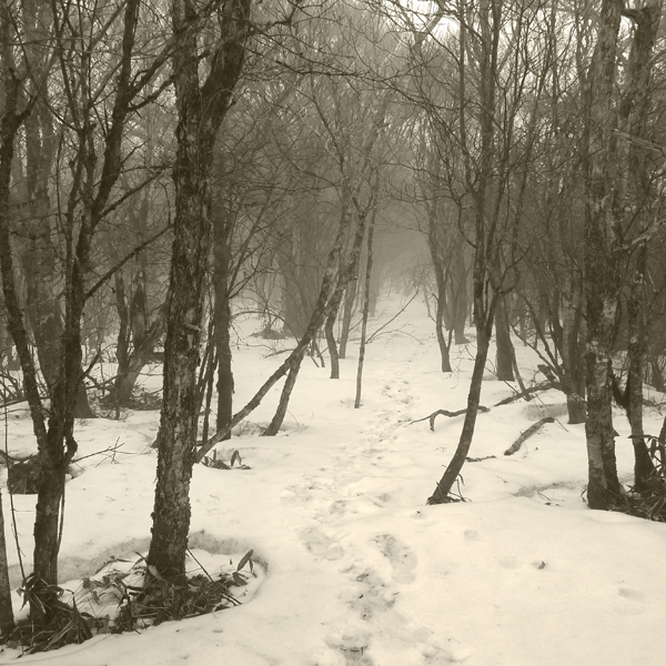 c0168986_20111425.jpg