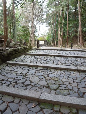 a0131787_15232149.jpg