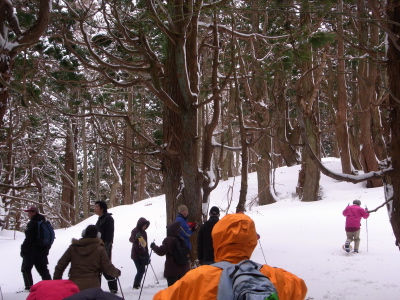 ++山形県パワスポ 幻想の森へ入る++_d0079988_1556066.jpg