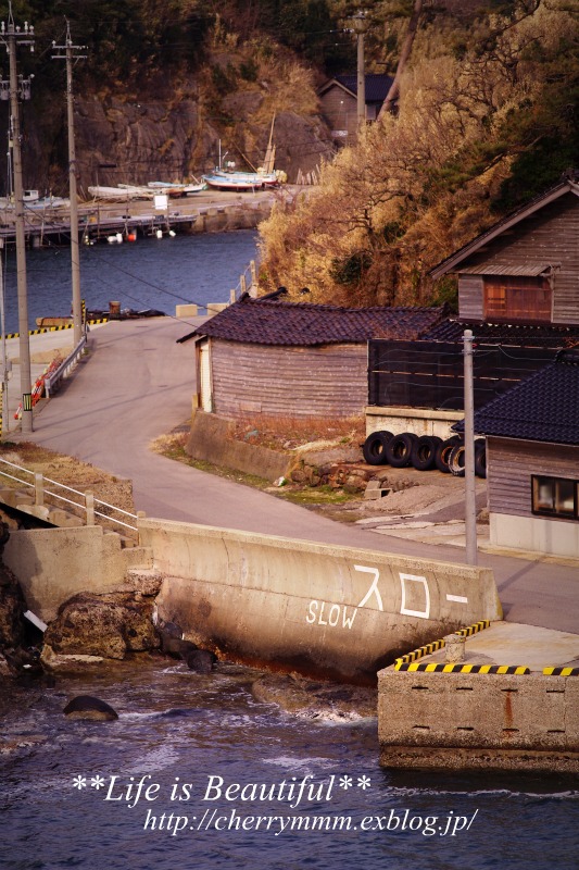 c0156789_1820458.jpg