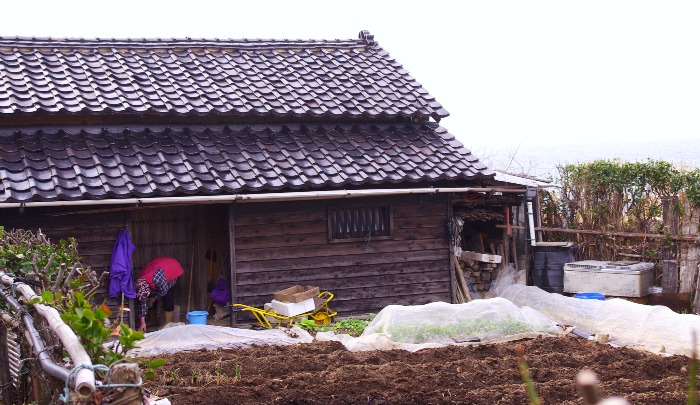 c0156789_18264630.jpg