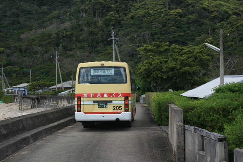 島案内人講座～加計呂麻島　実久地区～_a0194993_06880.jpg