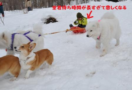 まだまだ雪がいっぱいの犬森_f0212597_8463492.jpg