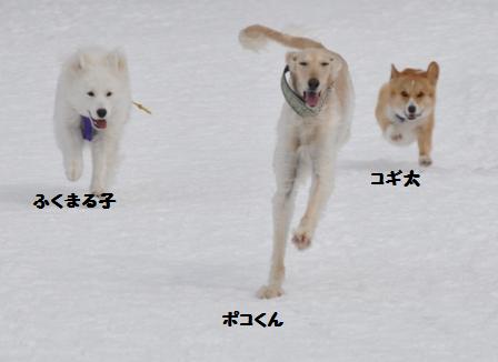 まだまだ雪がいっぱいの犬森_f0212597_8475251.jpg