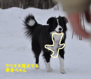 まだまだ雪がいっぱいの犬森_f0212597_8485959.jpg