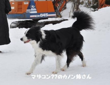 まだまだ雪がいっぱいの犬森_f0212597_8495080.jpg