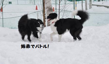 まだまだ雪がいっぱいの犬森_f0212597_8505834.jpg