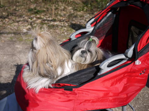 c0090198_5123499.jpg