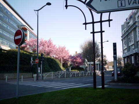 c0090198_5134328.jpg