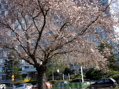c0090198_5143089.jpg