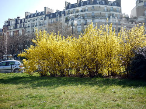 c0090198_514683.jpg