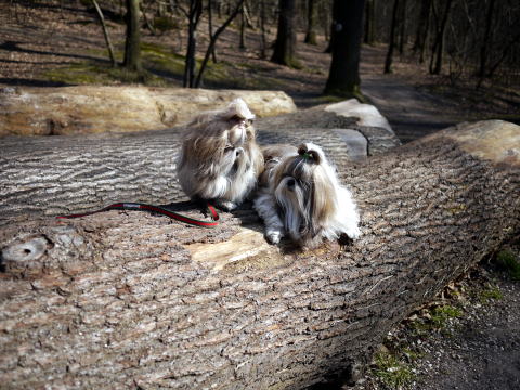 c0090198_525047.jpg