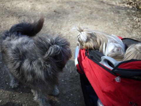c0090198_545880.jpg