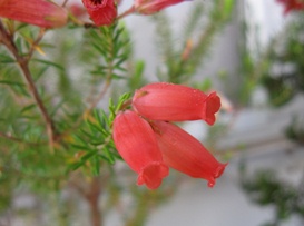 c0117898_20545888.jpg