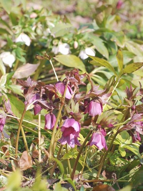 e0025300_1857568.jpg