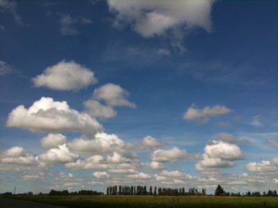 d0227101_1146026.jpg