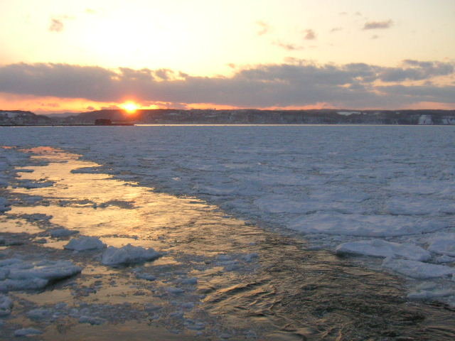e0192203_11501945.jpg