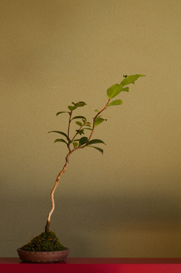 e0121605_23175927.jpg