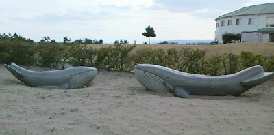 f0048405_10514254.jpg