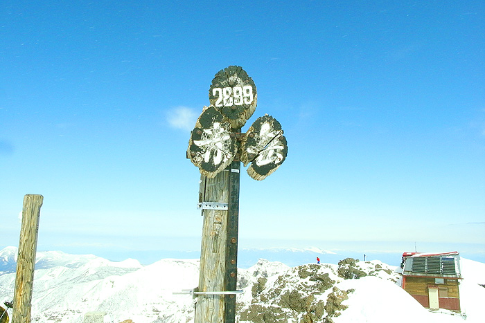 a0148606_2302457.jpg