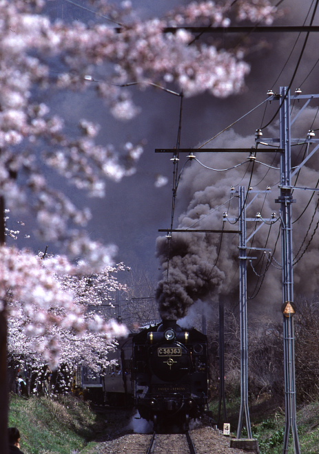 さくらと煙 - 1988春・秩父 -_b0190710_2334831.jpg