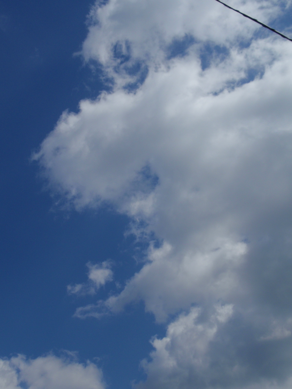 b0176111_16341640.jpg