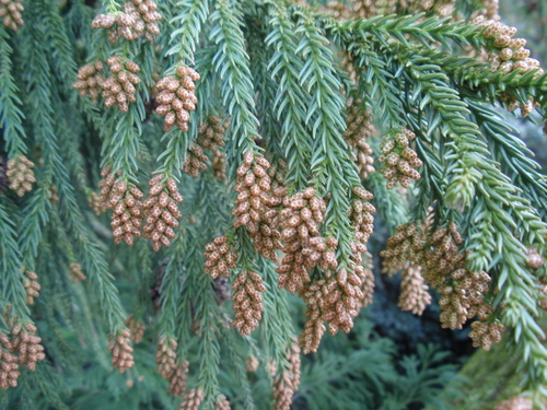 b0176111_1658177.jpg