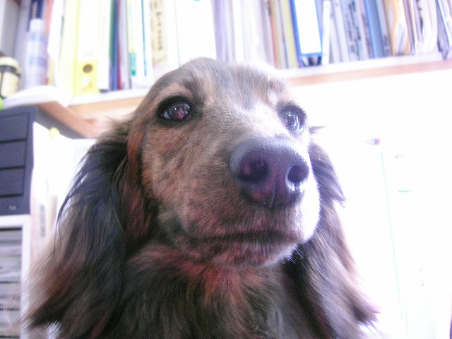 a0098513_19554324.jpg