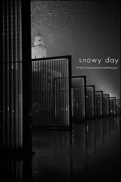 雪の日_f0100215_1111063.jpg