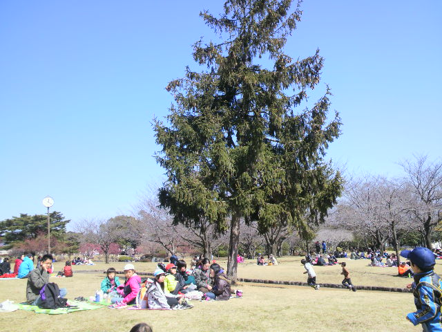 f0145318_23211526.jpg
