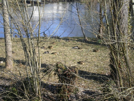 c0124619_554457.jpg