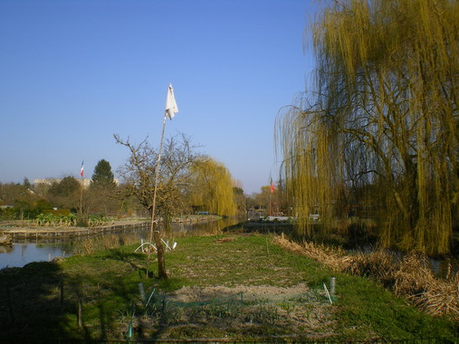 c0124619_555720.jpg