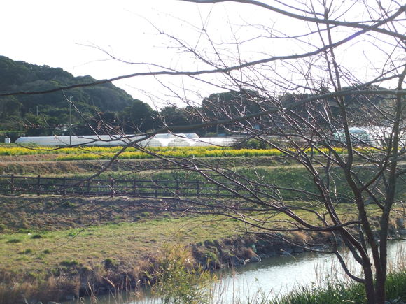 d0221319_039248.jpg