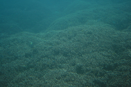 f0097620_110380.jpg